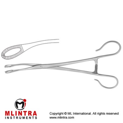 Blohmke Tonsil Grasping Forcep 1 x 2 Teeth Stainless Steel, 20 cm - 8" Blohmke Tonsil Grasping Forcep 1 x 2 Teeth Stainless Steel, 20 cm - 8"